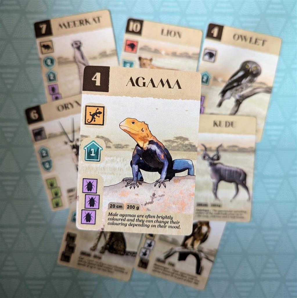 Kavango EN - Bordspel