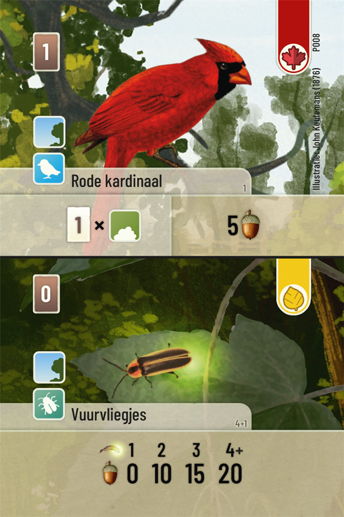 Forest Shuffle - Exploration NL