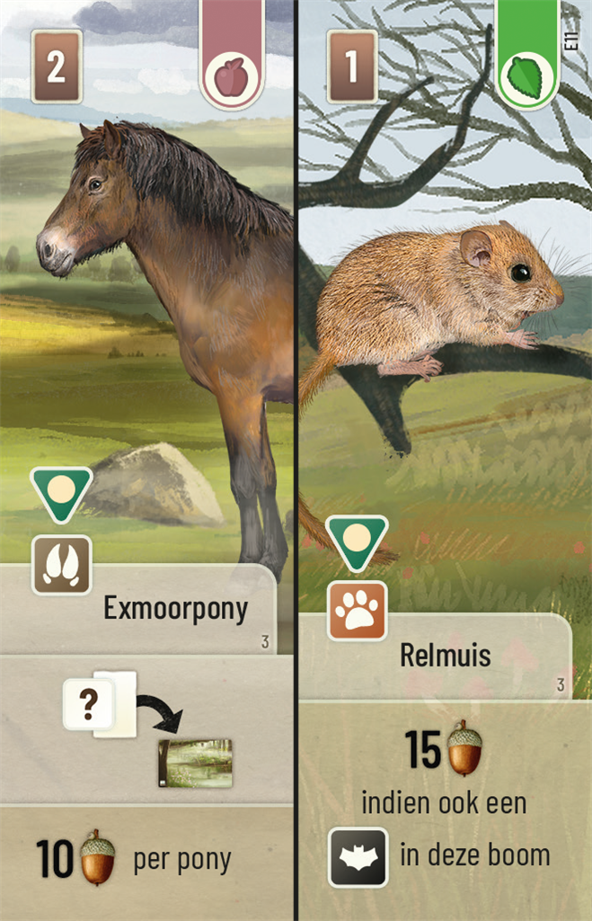 Forest Shuffle Dartmoor Exmoor NL