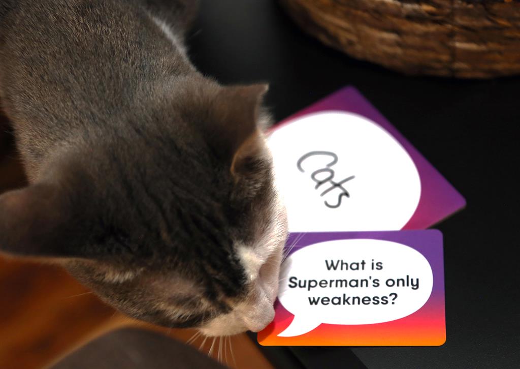 Wrong Answers Only - Partyspel