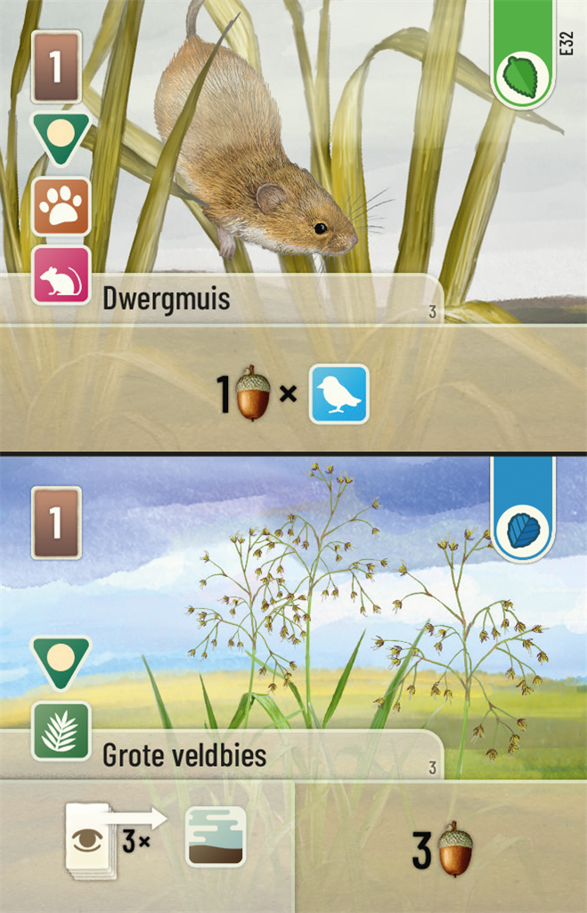 Forest Shuffle Dartmoor Exmoor NL