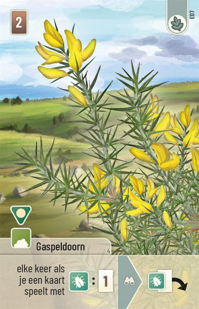 Forest Shuffle Dartmoor Exmoor NL