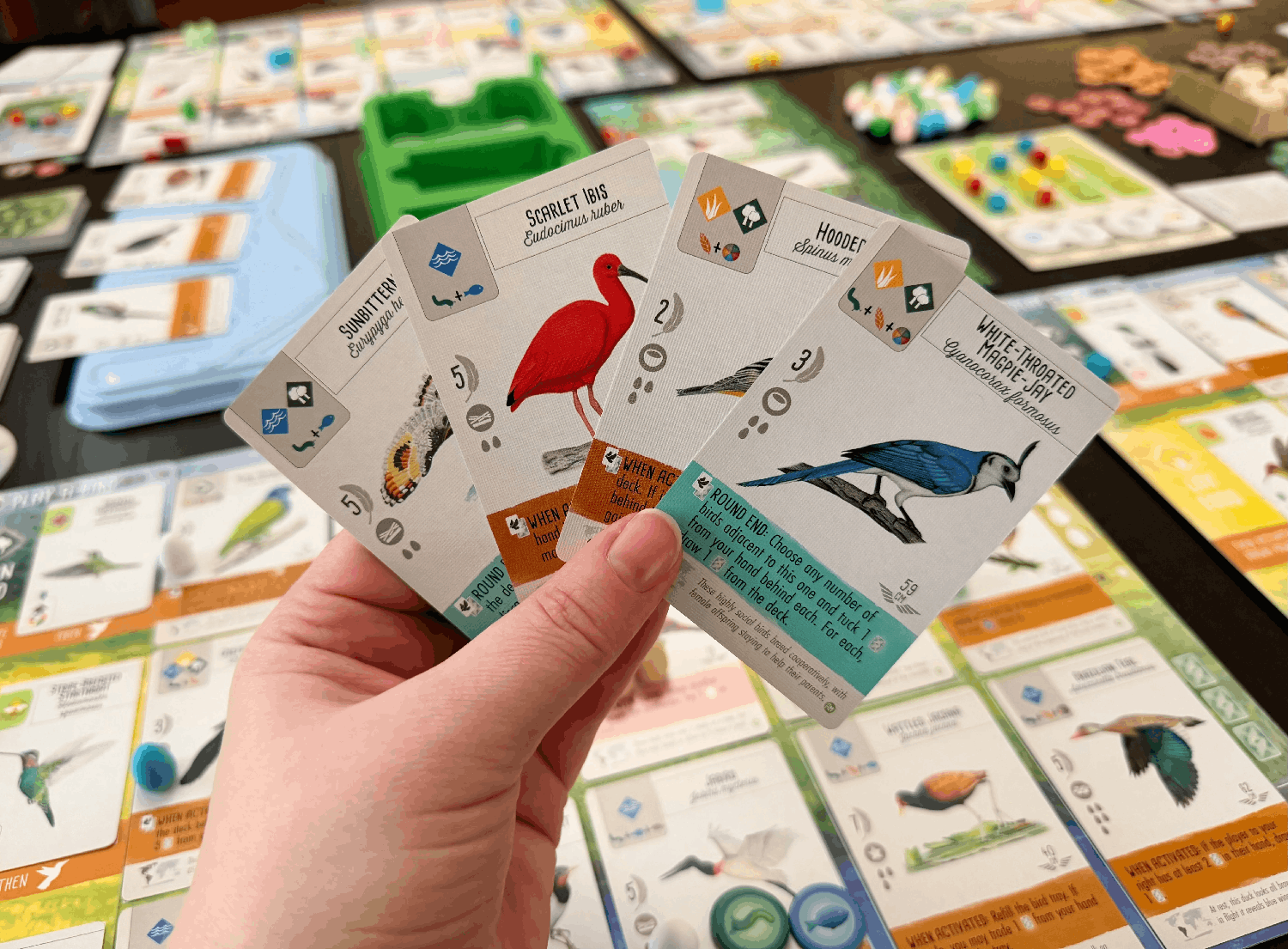 Wingspan uitbreiding: Midden- en Zuid-Amerika