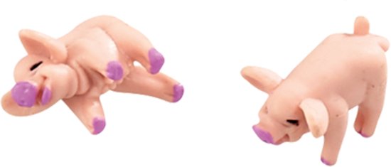 Biggen pocket editie