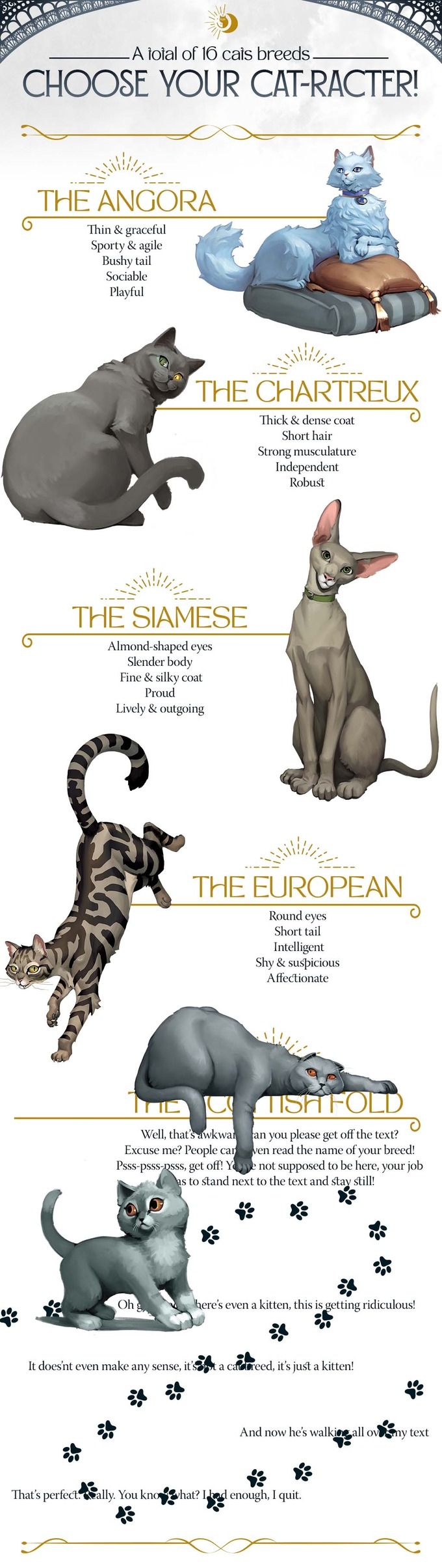 Cats! The Conspurracy RPG