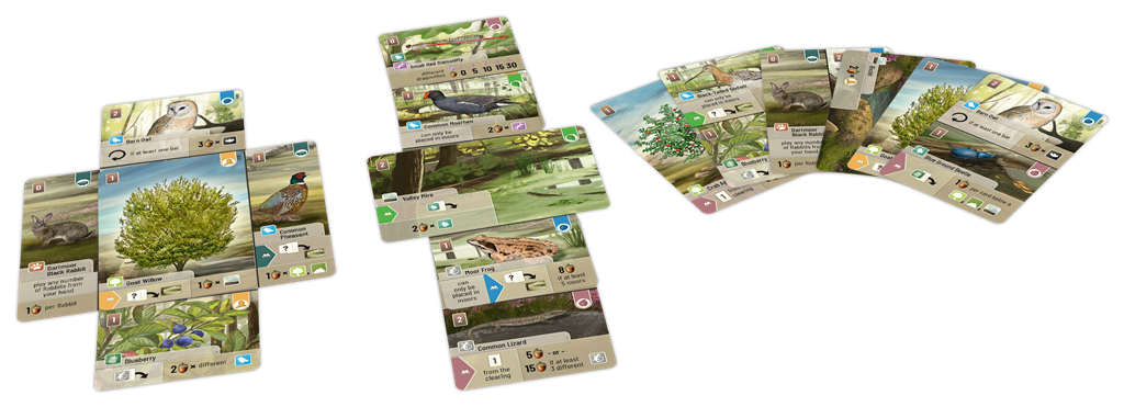 Forest Shuffle: Dartmoor NL