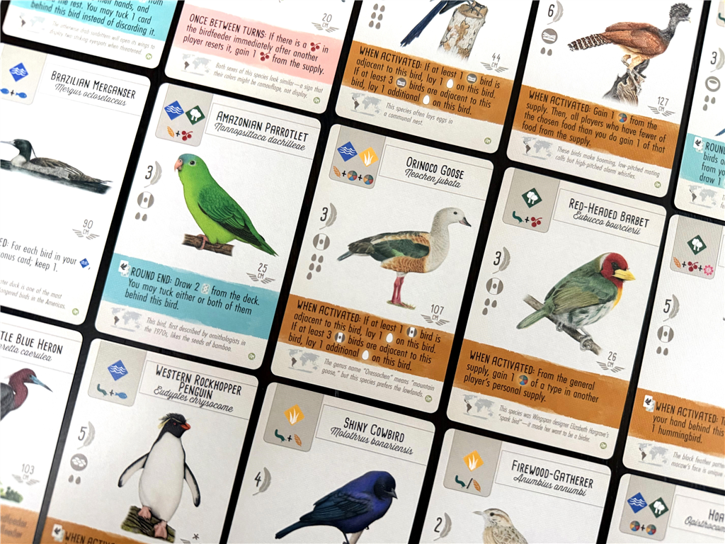 Wingspan Americas Expansion