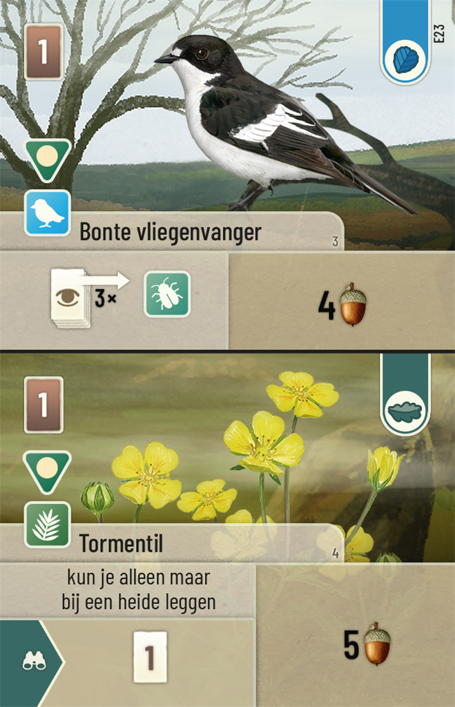 Forest Shuffle Dartmoor Exmoor NL