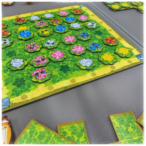 Queenz: To bee or not to bee - Bordspel