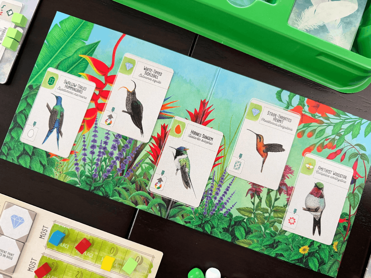 Wingspan uitbreiding: Midden- en Zuid-Amerika