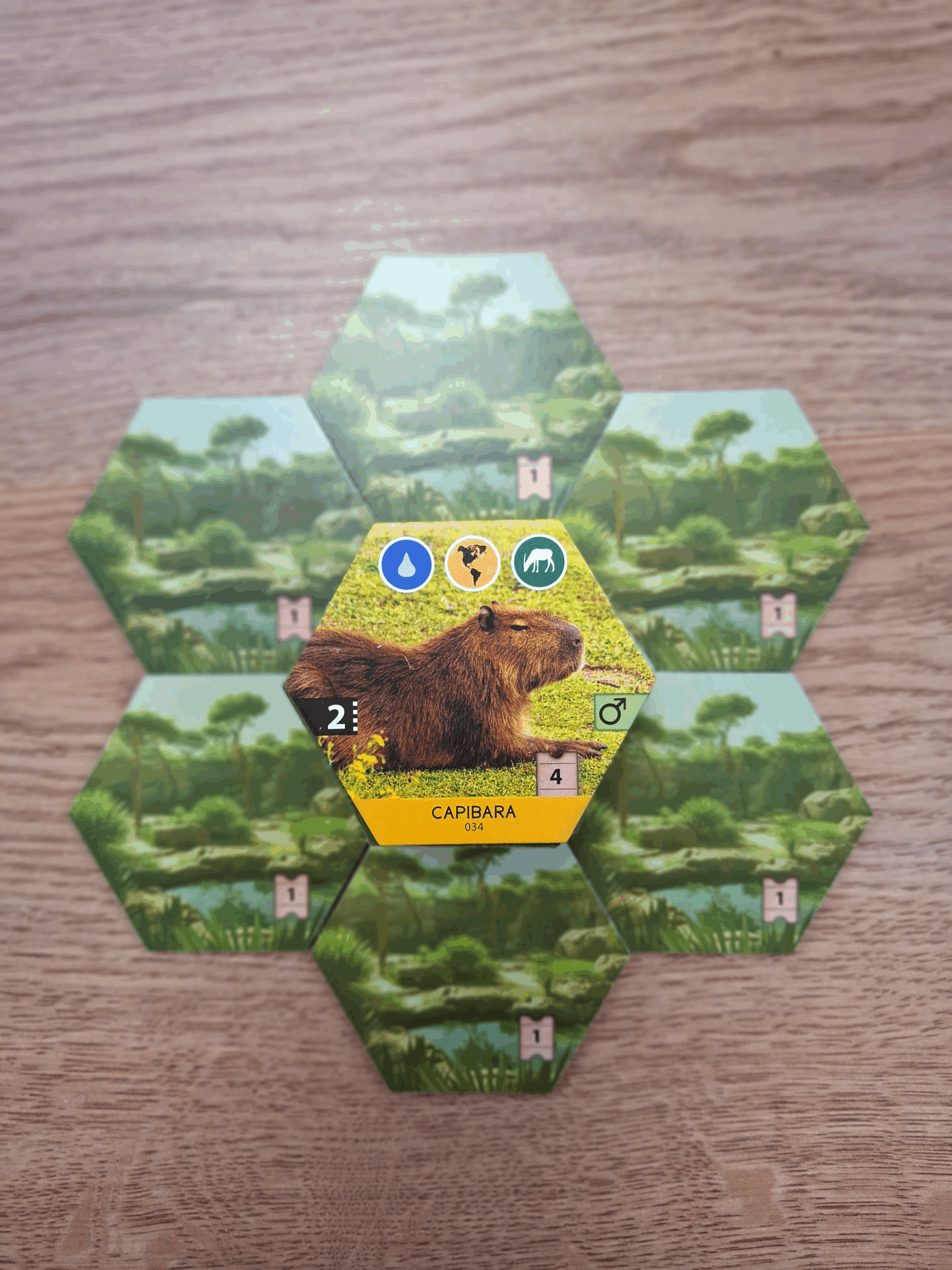 Dierenrijk - Bordspel