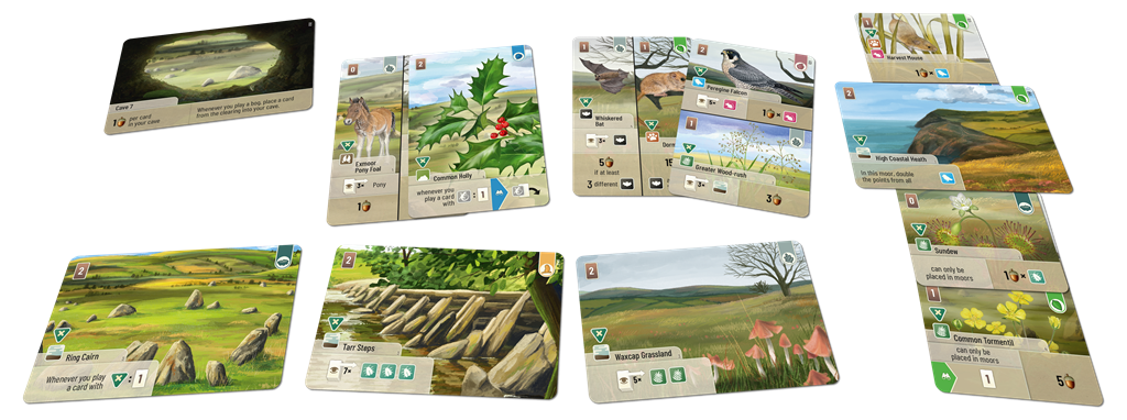 Forest Shuffle Dartmoor Exmoor EN