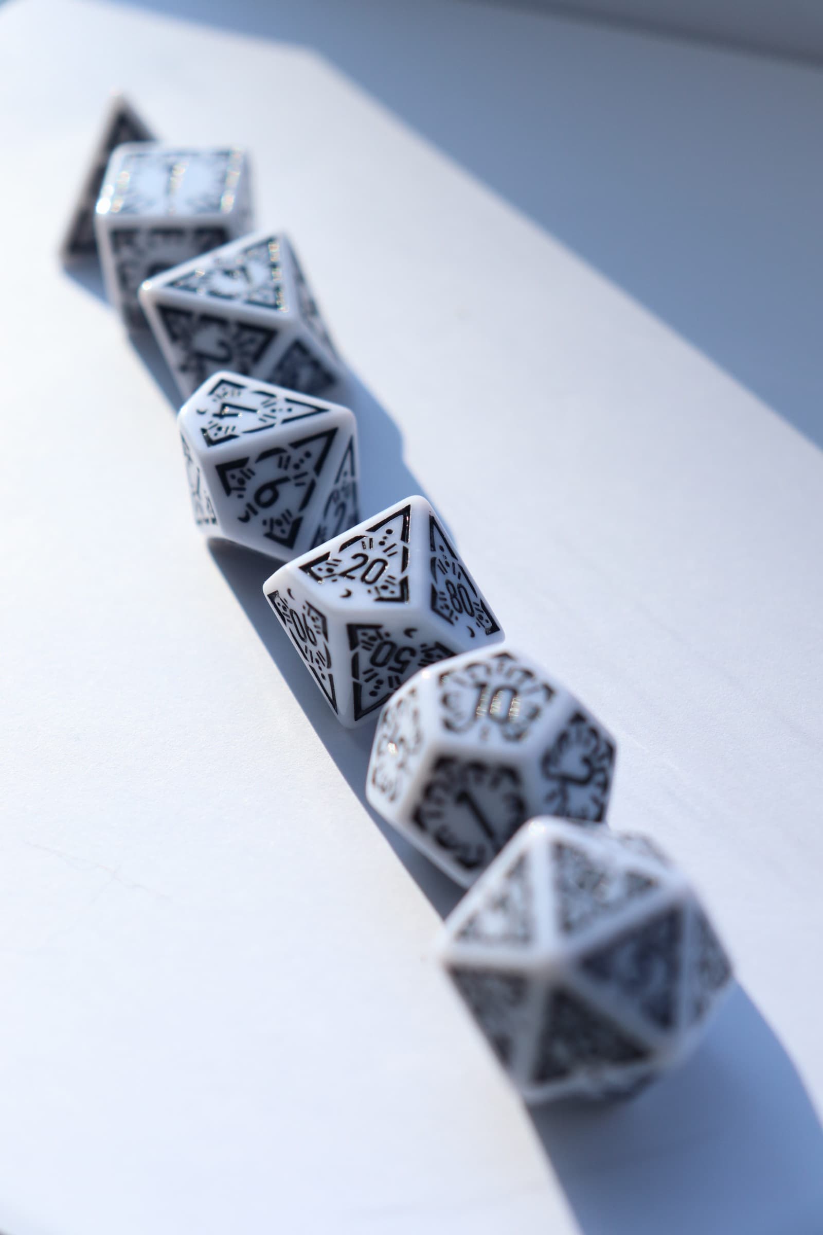 RPG Dice set Koker - Zwart Wit