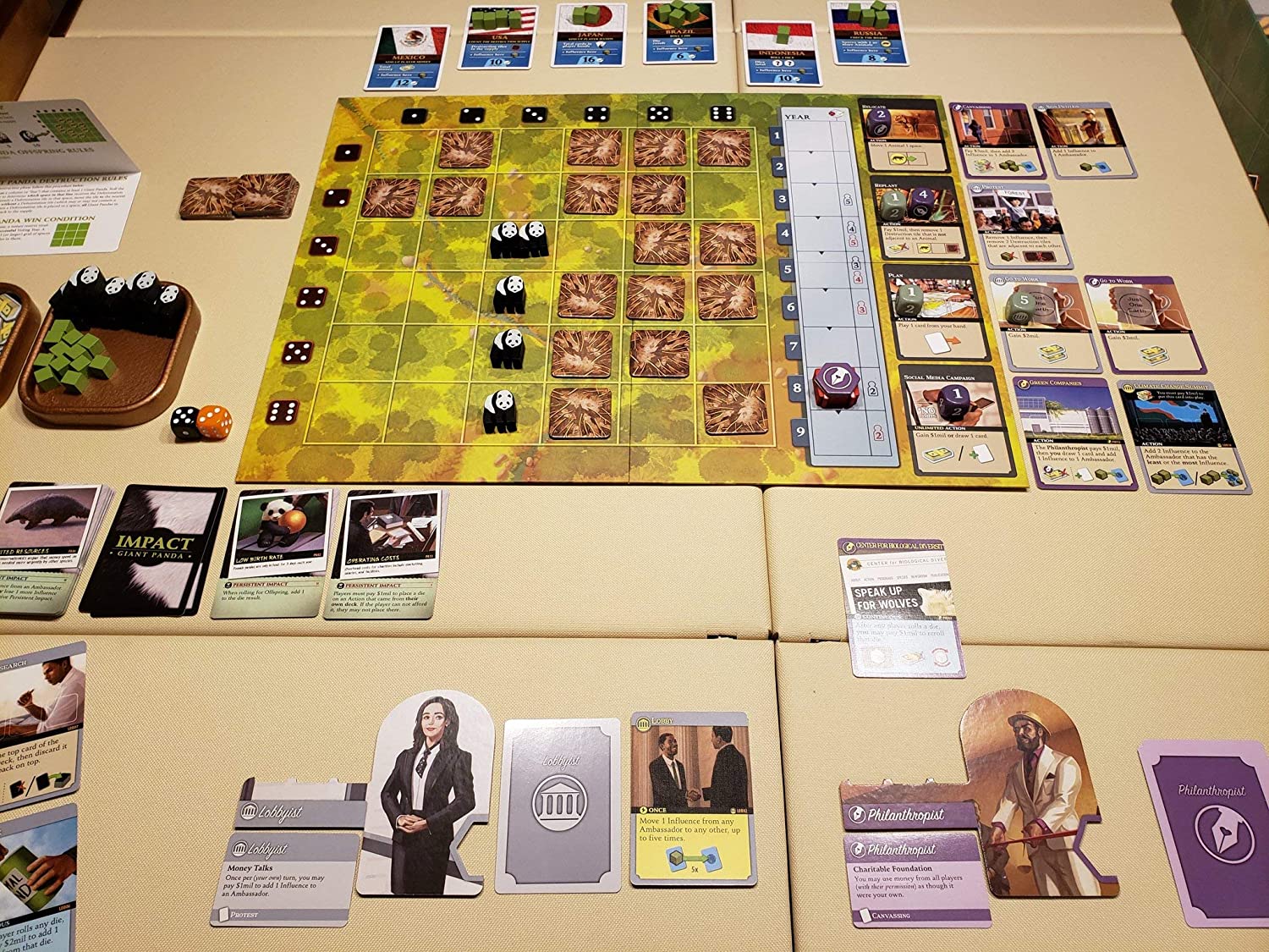 Endangered: Giant Panda Scenario