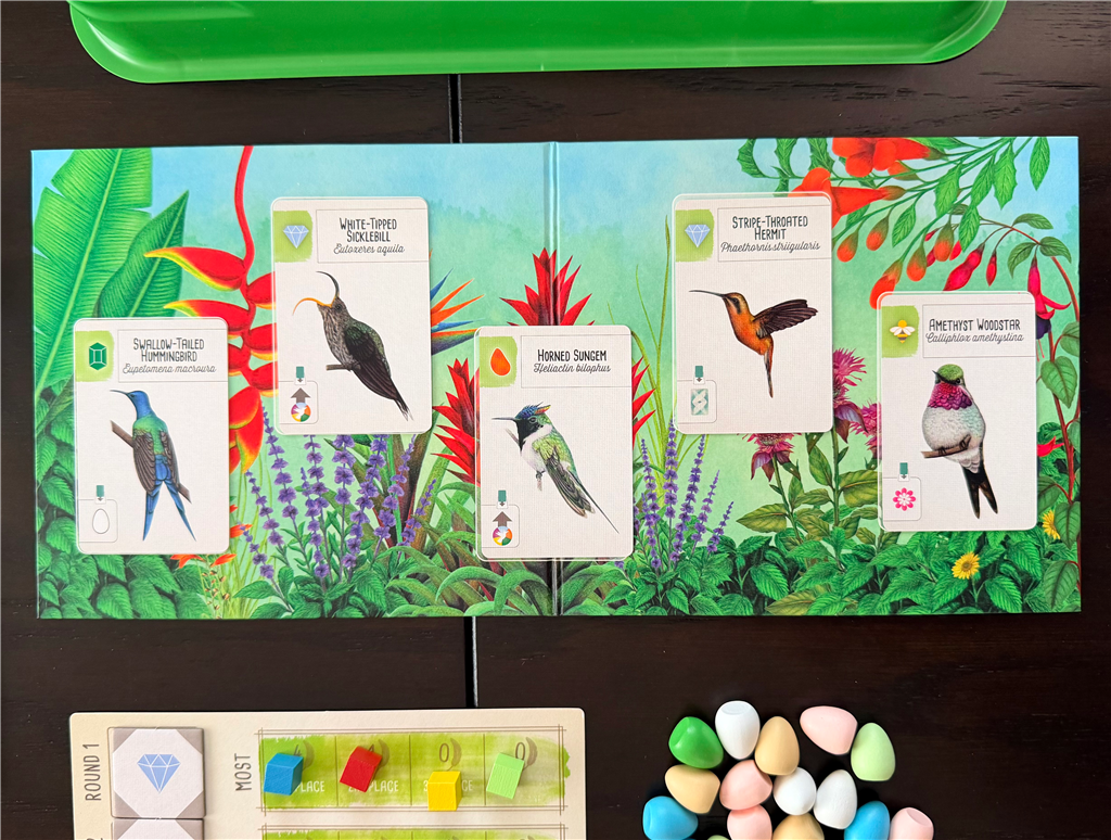 Wingspan Americas Expansion