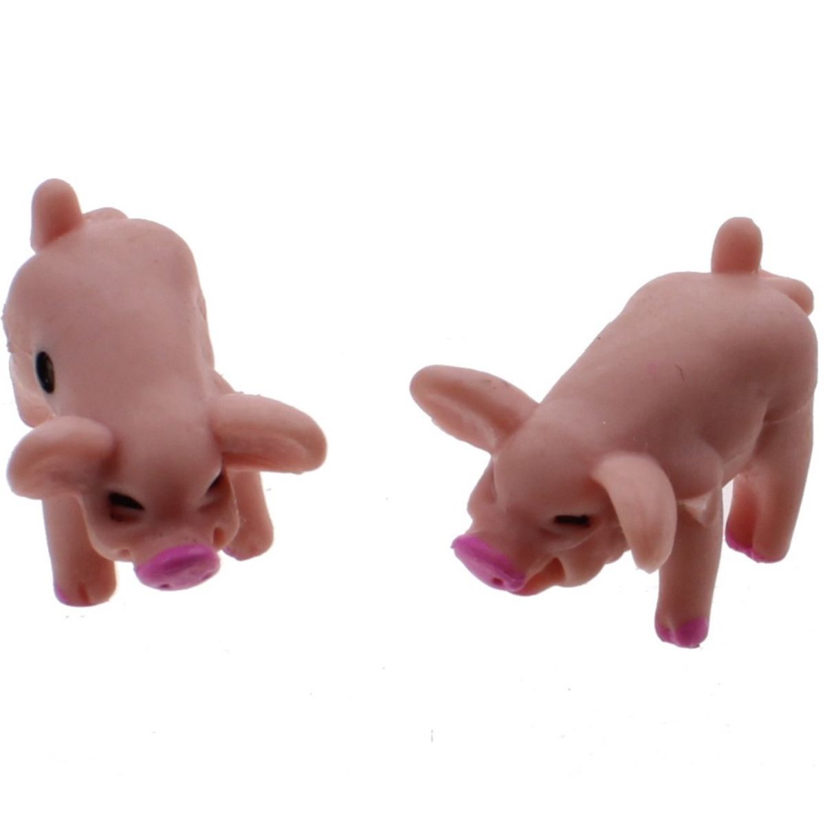 Biggen pocket editie