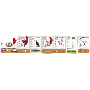 Wingspan Pocket - Kaartspel
