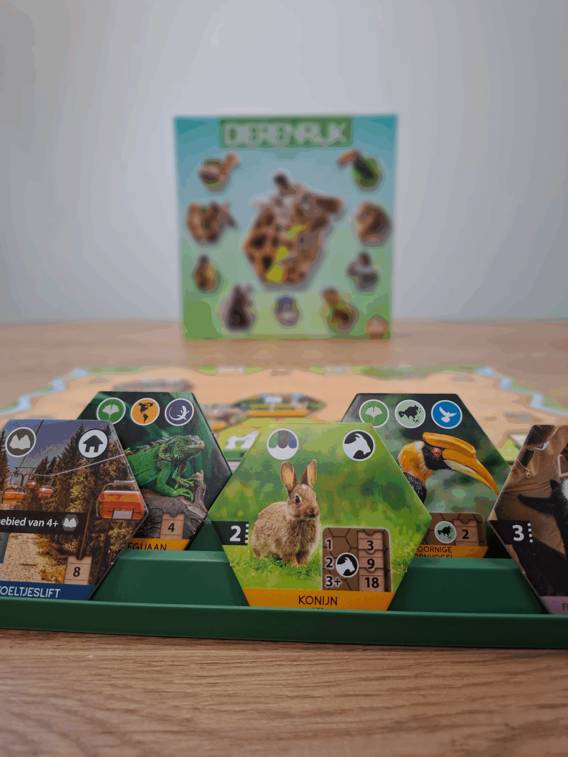 Dierenrijk - Bordspel