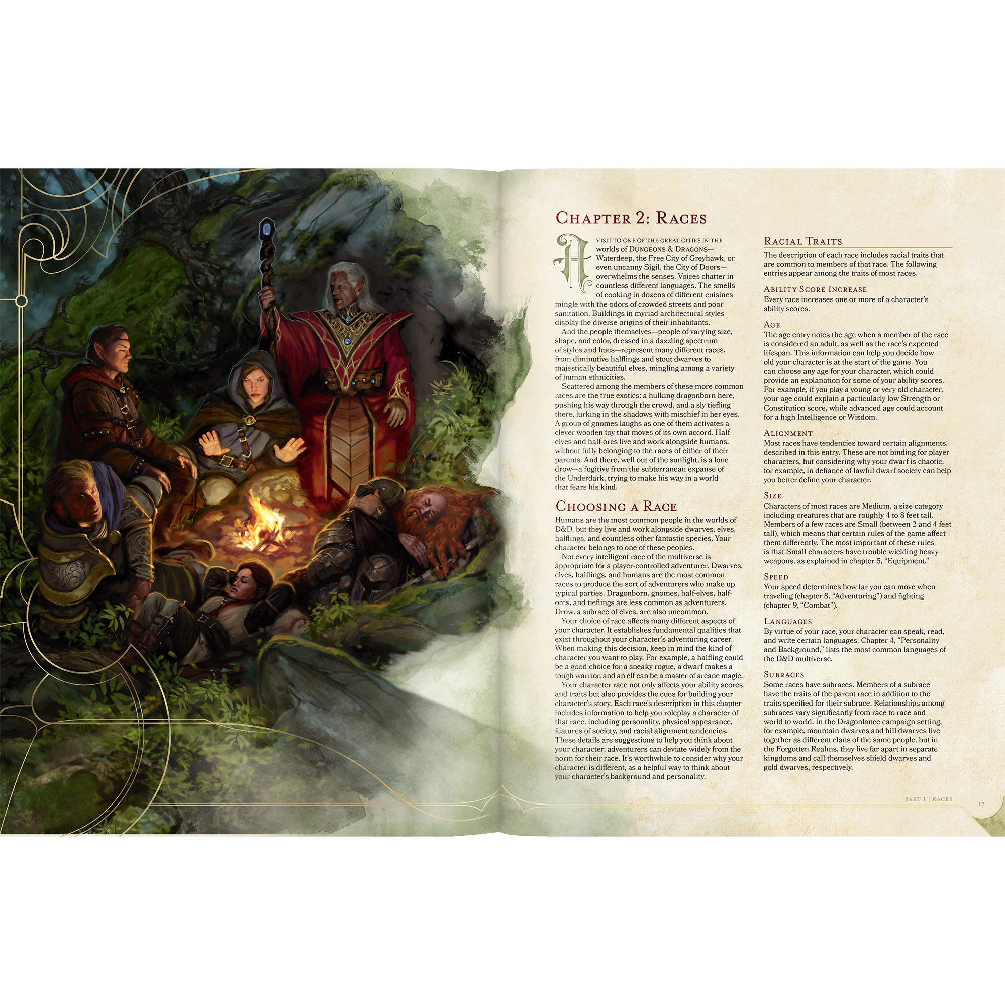 Dungeons & Dragons: Player's Handbook