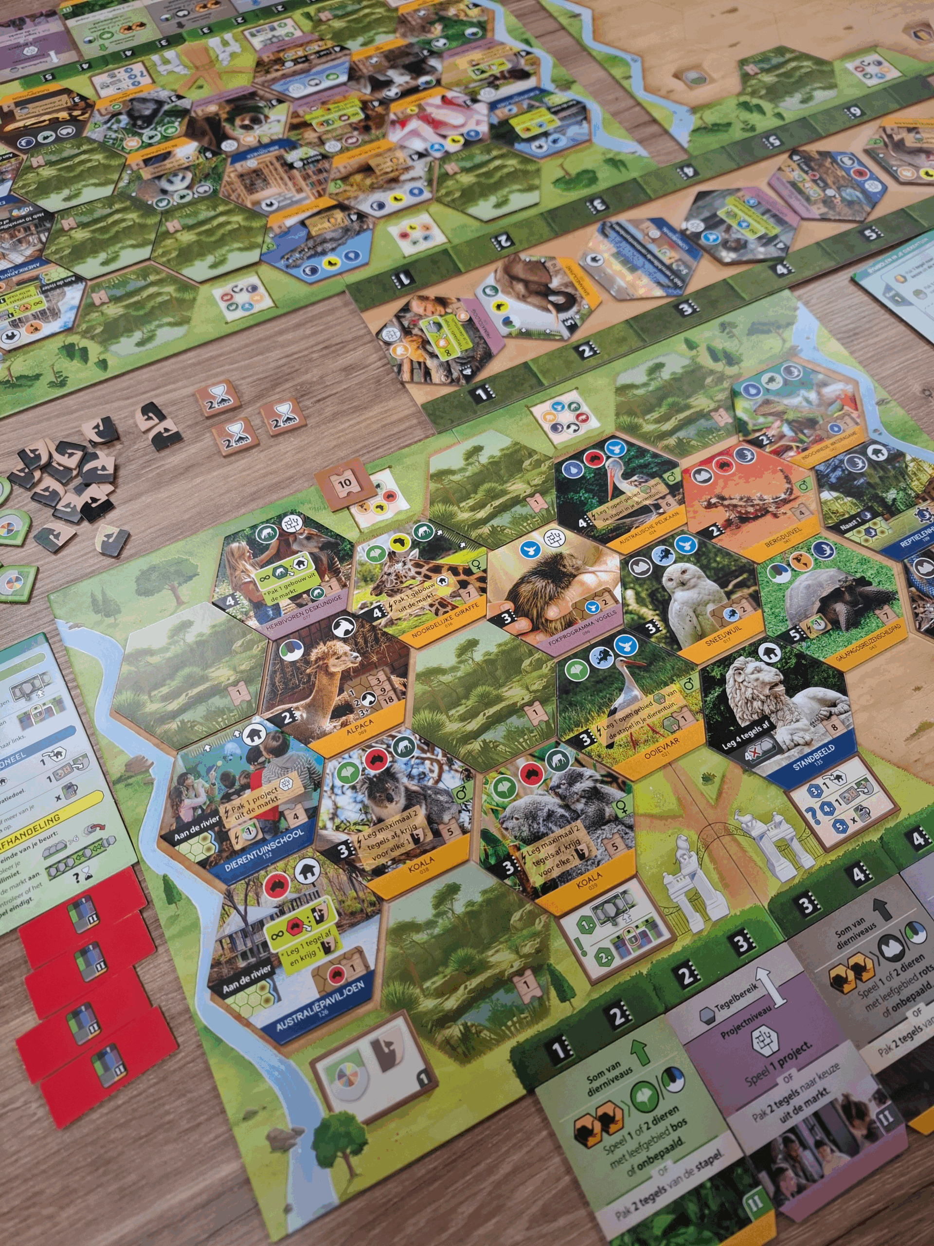 Dierenrijk - Bordspel