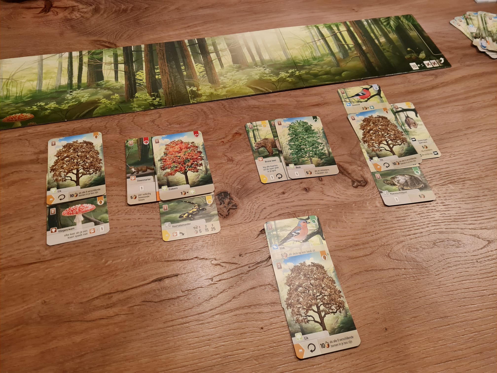 Overzicht spel Forest Shuffle