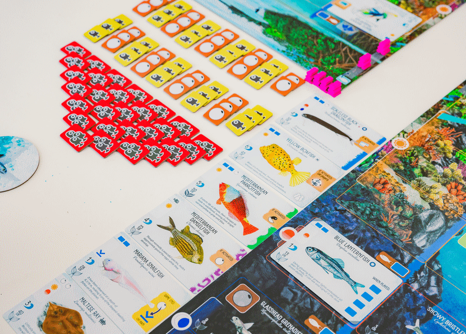 Finspan NL - Bordspel