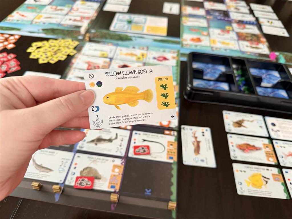 Finspan Sharks & Reefs Expansion