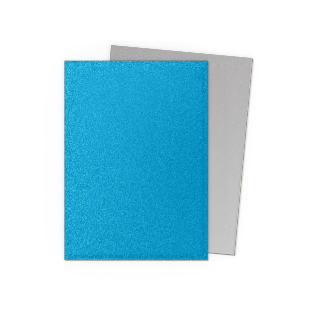 SLEEVES DS Matte Dual - Sky Blue & Silver