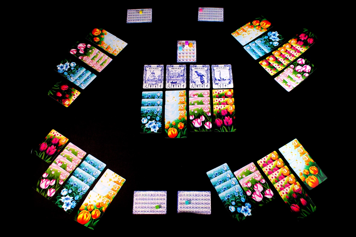 A Gift of Tulips - EN